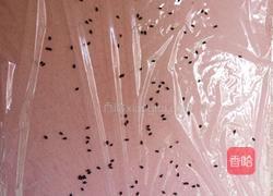 紫米饭团的做法图解6