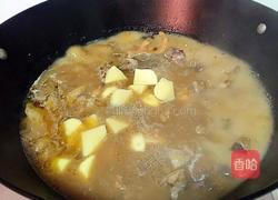 鸡块炖土豆的做法图解9