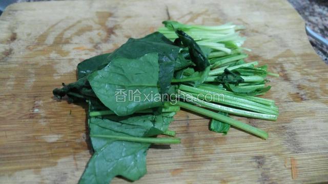 菠菜切好。
