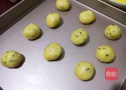 核桃酥的做法图解9