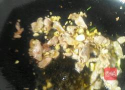 白茹炒肉的做法图解4