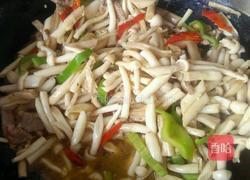 白茹炒肉的做法图解6