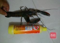 麻辣龙虾的做法图解1