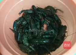 麻辣龙虾的做法图解2