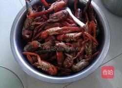 麻辣龙虾的做法图解5