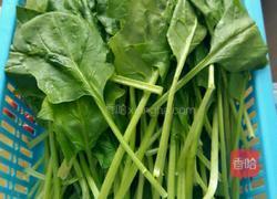 素炒菠菜的做法图解1