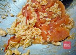 番茄炒蛋的做法图解13