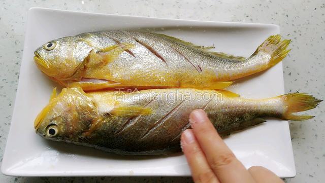 鱼的两面撒上盐，用手抹匀。肚子里面，鱼鳃处都均匀的撒上盐。