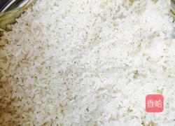 糯米香菇烧卖的做法图解6