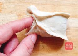 蝴蝶水煎饺的做法图解9