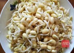 黄豆芽拌双丁的做法图解1