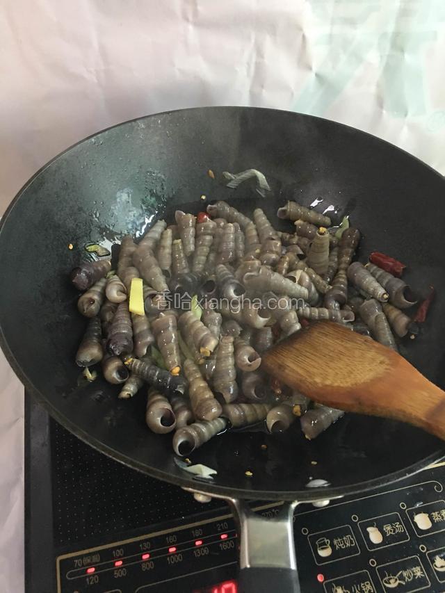 香味出来后，放入钉螺翻炒一下，口味淡可以不加盐，因为后期有放酱油，我们家口味是放一点（量自己取，正常炒菜量少一点便可）