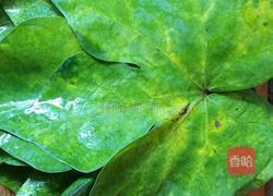 玉米面浆粑馍（改良版)的做法图解4