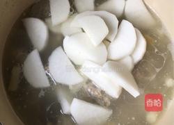 清炖羊排的做法图解5