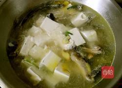 泥鳅豆腐汤的做法图解3