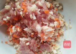 水晶猪肉饺(无油版)的做法图解3