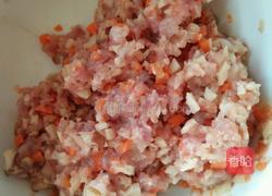 水晶猪肉饺(无油版)的做法图解5