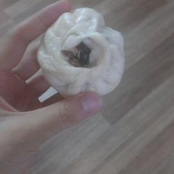 圆白菜木耳猪肉馅儿包子的做法[图]