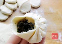 马齿苋猪皮包子的做法图解10