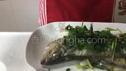 清蒸鲈鱼的做法图解14