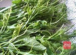 炒佛手瓜尖的做法图解1