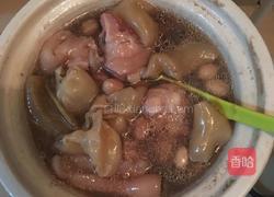 花胶猪脚花生汤的做法图解5