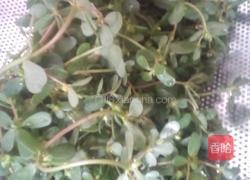 马齿苋炒蛋的做法图解1