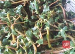 马齿苋炒蛋的做法图解2