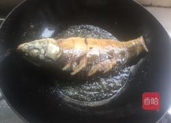 红烧裸斑鱼的做法图解3