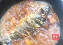 红烧裸斑鱼的做法图解4