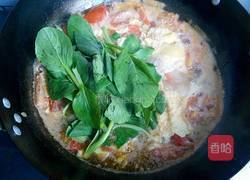 番茄鸡蛋青菜汤的做法图解7