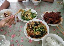 食材菜谱图