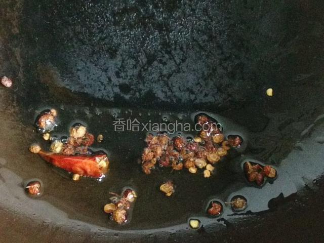 热油下锅，小火煸香花椒，干红辣椒