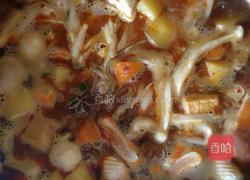 阳阳版乱炖的做法图解5