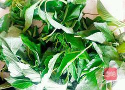 凉拌绿苋的做法图解1