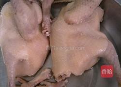 鲜人参炖白鸽汤的做法图解2