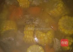 玉米排骨汤的做法图解3