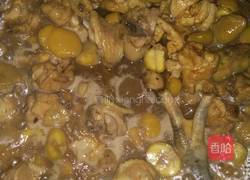 板栗焖鸡的做法图解5