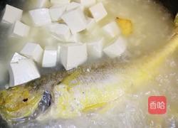 黄鱼豆腐汤的做法图解5