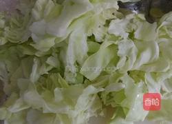 爽拌卷心菜的做法图解1