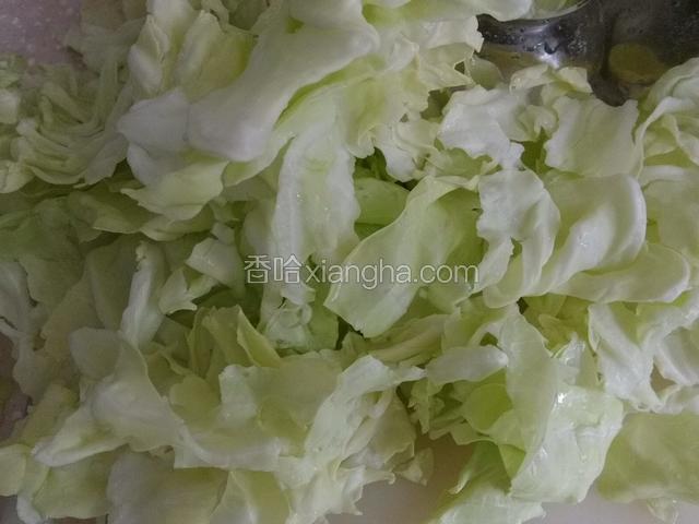卷心菜洗净控水，用手掰碎