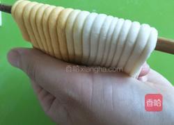 双色贝壳花卷的做法图解14