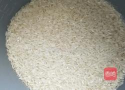 豆角闷饭的做法图解8