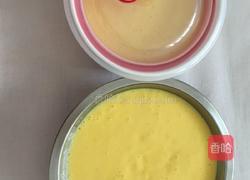 芒果冰淇淋的做法图解6