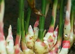 醋泡嫩姜的做法图解1