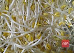 黄豆芽炒葱的做法图解1