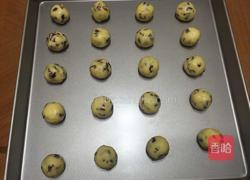 蔓越莓椰蓉酥的做法图解11