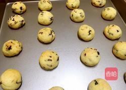 蔓越莓椰蓉酥的做法图解13