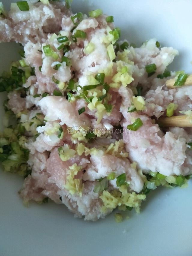 把肉糜，葱，姜放入碗中