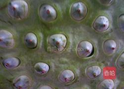 莲芯苦茶的做法图解1